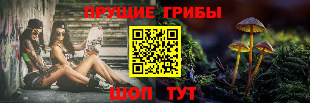 Нягань  Псилоцибиновые грибы мухоморы  Вход с VPN 